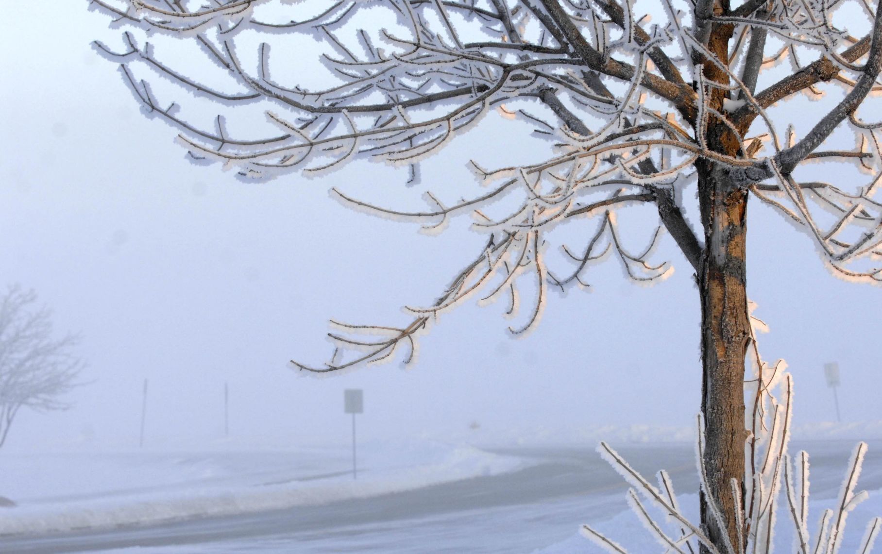 011519-blm-loc-4icesnow